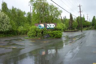 anchorzoo.jpg