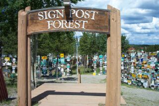 cansignforest.jpg