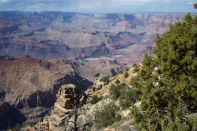 gcanyon2.jpg
