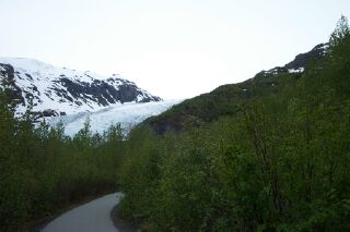 sewardglaciertrail.jpg