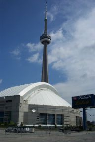 torskydome1.jpg