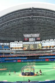 torskydome2.jpg
