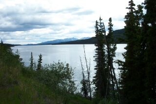 wthorsefoxlake.jpg